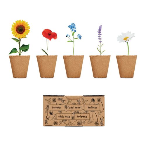Flowers growing kit - Image 4